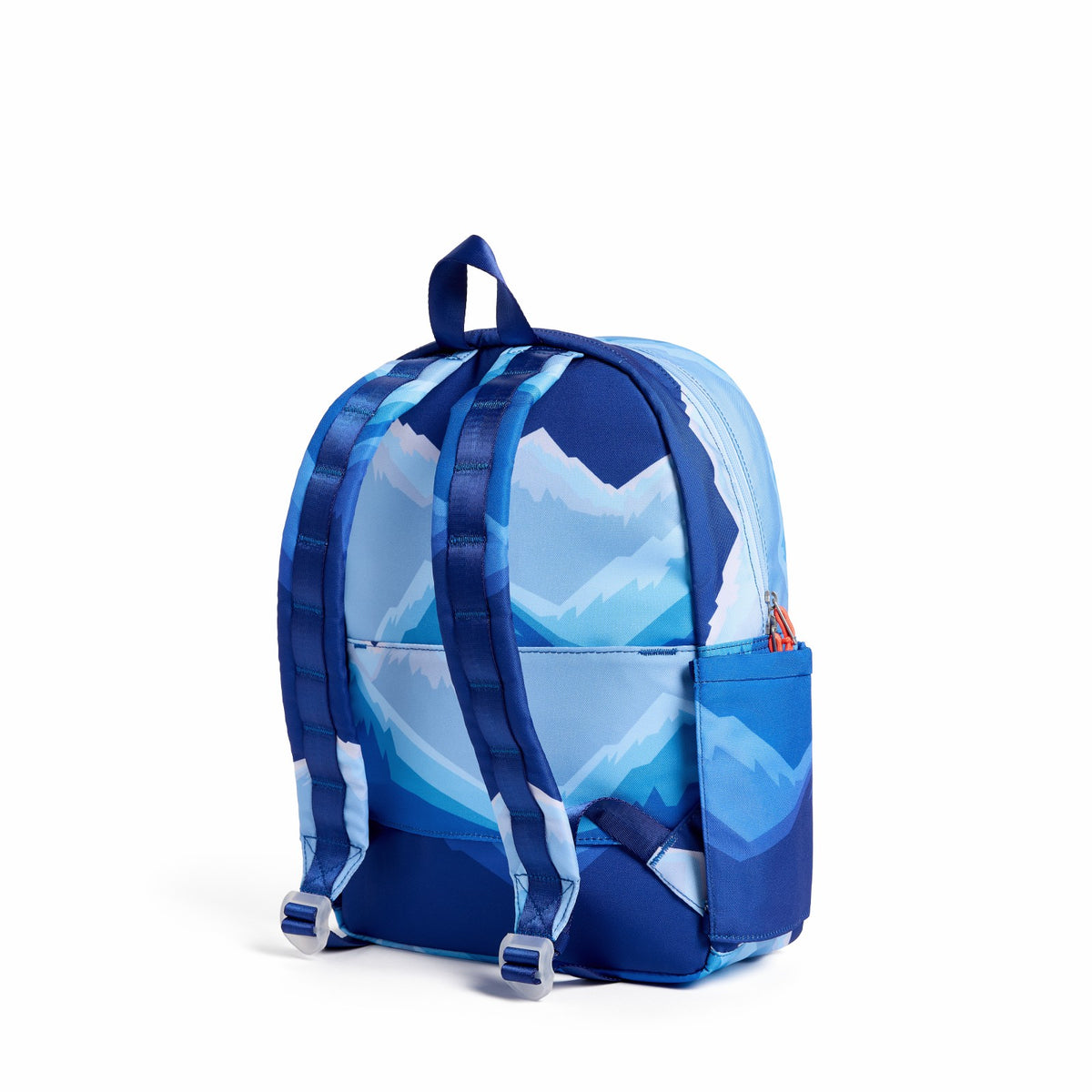 State Bags Top Pick - Kane Kids Backpack Polyester Canvas Mountains